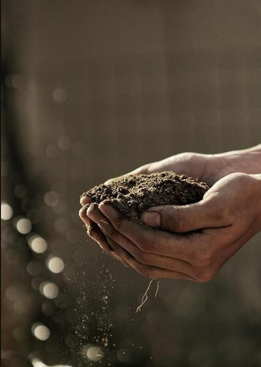 Organic Vermicompost 500gm