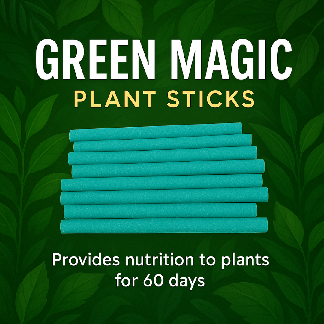 Green Magic Plant Stick (buy 1 get 2) 50 sticks